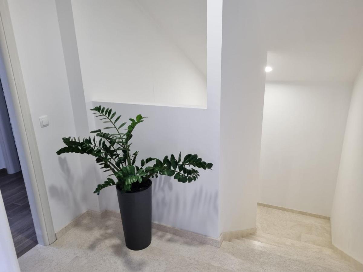 Apartmani Tolj Makarska Dış mekan fotoğraf