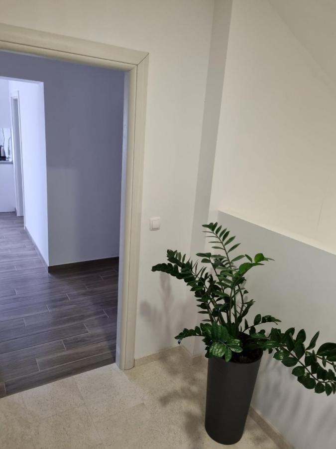 Apartmani Tolj Makarska Dış mekan fotoğraf